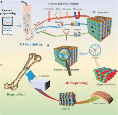  Elastin: Biomimetisches Wundermaterial für innovative Tissue Engineering Anwendungen!